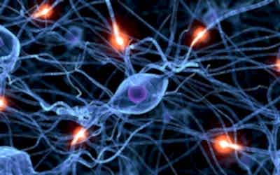 La frontera entre neurociencia y neurotecnología ha sido superada
