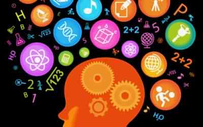 Nuestro cerebro cambia con cada experiencia